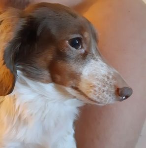 Meet your Posher, Jon